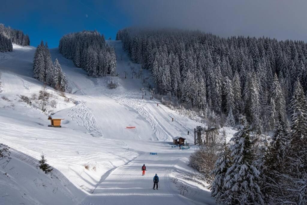 Le Relai S34 - Grand et lumineux studio avec coin montagne 4-6 pers, 50m des pistes, grand balcon exposé SUD, DRAPS NON COMPRIS Saint-Jean-dʼAulps Esterno foto